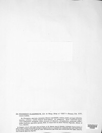 Terriera cladophila image